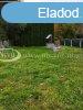 Elad 110 nm-es Csaldi hz Veszprm