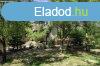 Elad Hz, Kecskemt