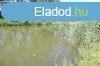 Elad 60 nm-es Feljtand Htvgi hz Dmsd