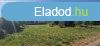 Elad telek Ceglden a Gygy- s Szabadidkzpont kzelben!