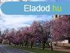 Elad csaldi hz Tkl, 	F t krnyke