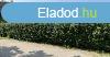 Elad csaldi hz Velence, 	csaldihz, apartmanhz