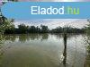 Elad dltelek Gyomaendrd