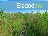 Horgszoknak idelis - elad vzparti ingatlan BALATONAKALIB