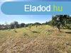 Elad telek, rhidn. - rhida