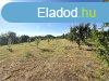 Elad telek, rhidn. - rhida