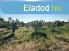 Elad telek, rhidn. - rhida