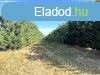 Elad telek, rhidn. - rhida