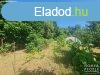 Elad ptsi telek Hdmezvsrhely   