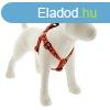 Lupine Step-in hm (Lucky Dragon 2,5 cm szles 49-68 cm)