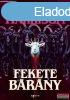 Rachel Harrison - Fekete brny