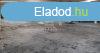 Elad ipari ingatlan Cegld, 	311-es t mellett