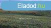 Elad Telek, Balatonkeresztr