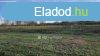 Elad Telek, Balatonkeresztr