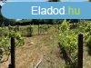 Elad ptsi telek Miskolcon, az Alms utcban ? egyedlll