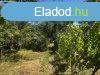 Elad ptsi telek Miskolcon, az Alms utcban ? egyedlll