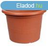 Campanula flower pot terracotta diameter 9 cm