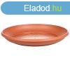 Harmonie csszealj virgcserpbe terrakotta tmr 20 cm