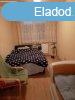 Elad 54 nm-es Feljtand Panellaks Debrecen