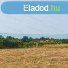 Balatoni Rivira ltvnya ezt ltni kell ! - Balatonakali