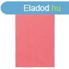 PA580 mikroszlas sport frdleped Proact, Coral-110X180