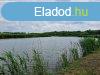 Halast elad Kzpbogrd kzelben - Lajoskomrom