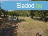 Elad Fld Balatonkenese