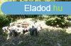 Elad 107 nm-es jszer llapot Htvgi hz Rckeve