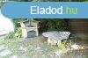 Elad 107 nm-es jszer llapot Htvgi hz Rckeve