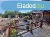 BALATONI PANORMS csaldi hz elad BALATONEDERICSEN pincv