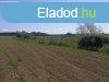 Elad 71000 nm-es Fejlesztsi terlet Jnd