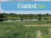 Elad 71000 nm-es Fejlesztsi terlet Jnd