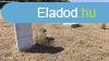 Szolnokon ipari terleten elad kzmvestett telek!
