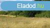Tokodon a Bajnai ton 3136 nm fldterlet elad! Nem kifgge