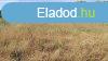 Tokodon a Bajnai ton 3136 nm fldterlet elad! Nem kifgge