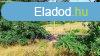 Tokodon a Bajnai ton 3136 nm fldterlet elad! Nem kifgge
