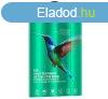 HOCO kpernyvd veg (3D full cover, full glue, teljes fel