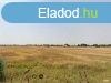 | Elad 5,968 hektr mezgazdasgi terlet - Hdmezvsrhel