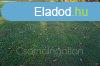 Babt - 1043 m2-es telek elad