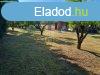 Elad csaldi hz Dunakeszi, 	Dunakeszi