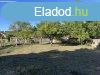 Pilissznt, 72 m2, 69900000 HUF, 2 szoba, 1 flszoba [2005_