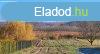 Elad telek