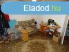 Elad 75m2-es Csaldi hz, Isaszeg