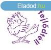 Blyegz, motivcis, Sokat fejldtl!, COLOP "N43-kk&