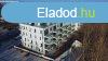 Elad Laks, Sifok
