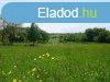 Elad telek rhida, 	kzpontban