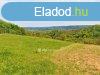 Elad Telek, Bocflde
