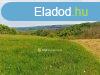 Elad Telek, Bocflde