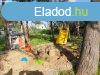Elad Hz, Lepsny