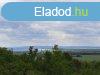 Elad Hz, Sgvr